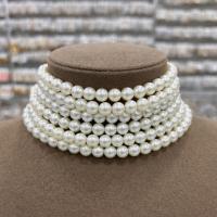 6 sıralı choker kolye incili